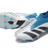 Футбольные бутсы Adidas Predator Accuracy FG синие без шнурков